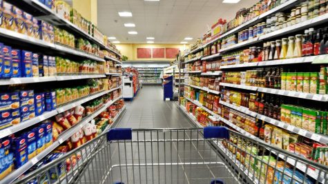 Shield Breakdown: Grocery Shopping Safety During Quarantine
